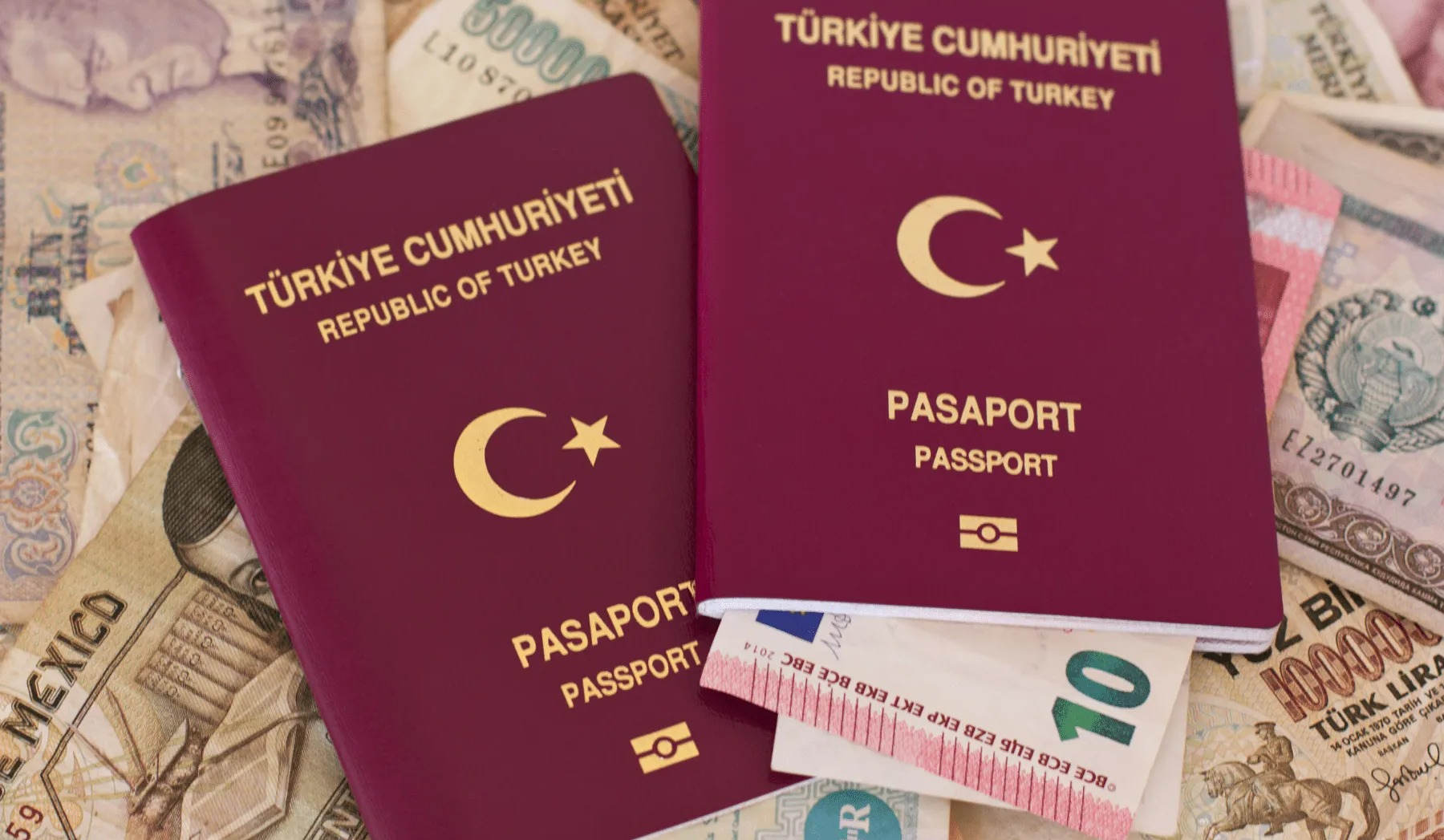 پاسپورت - برگه تردد یکساله در ترکیه
